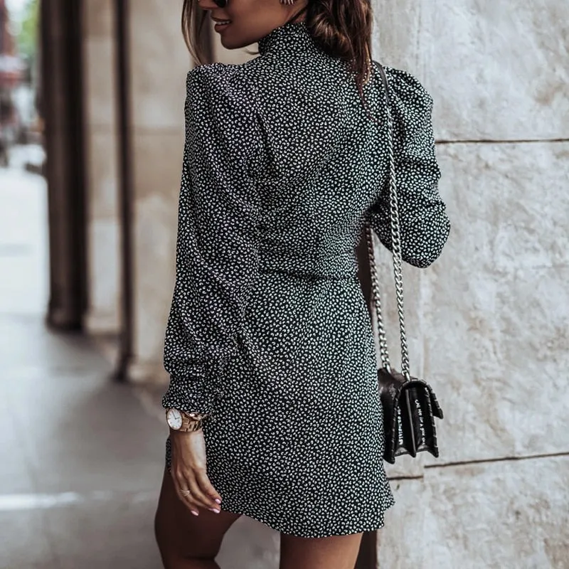 Autumn Turtleneck Leopard Print Wrap Dress.