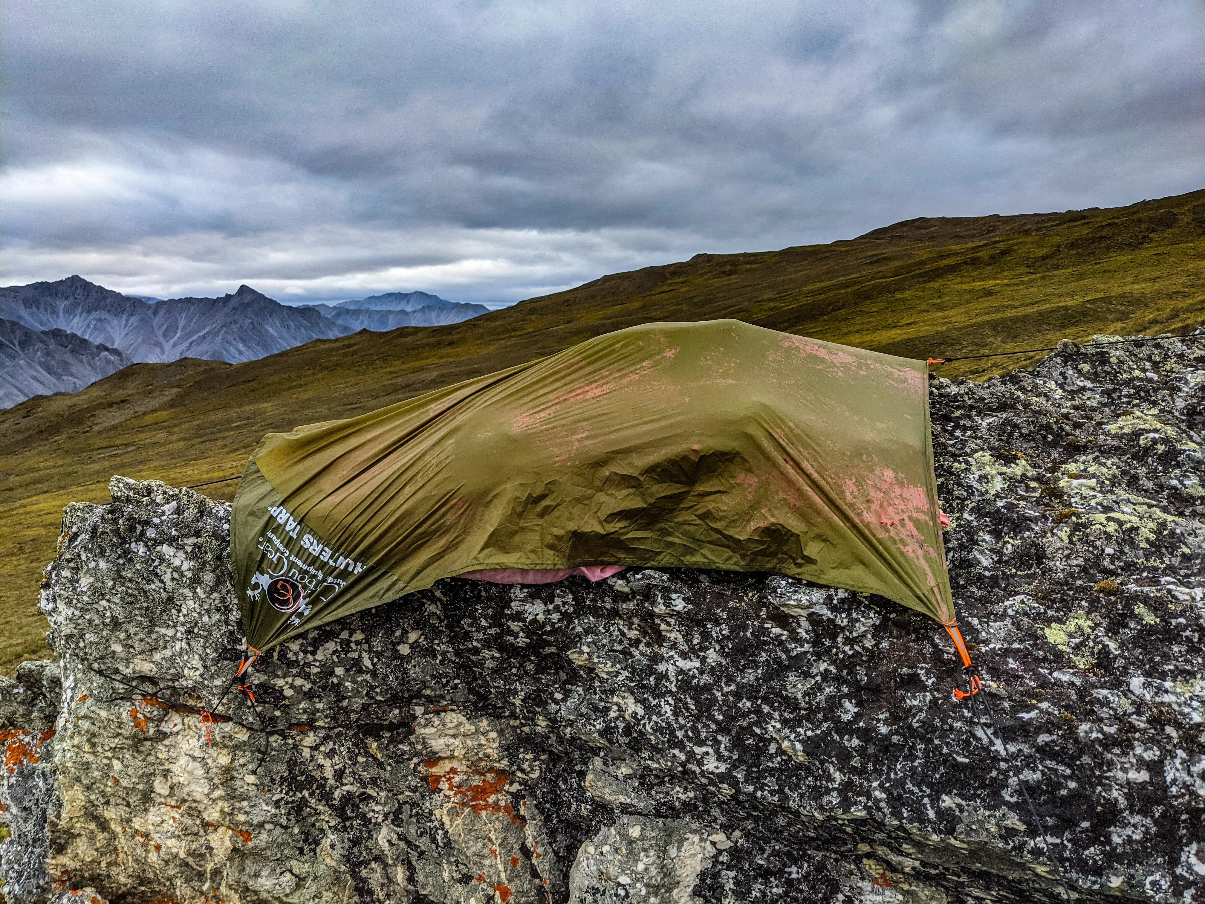 Hunters Tarp® / Meat Pack Liner by Caribou Gear®- Green