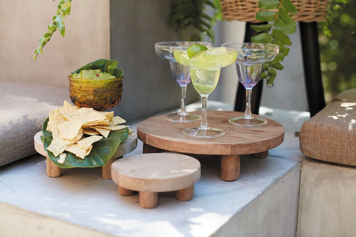 Tejano Stand- Medium