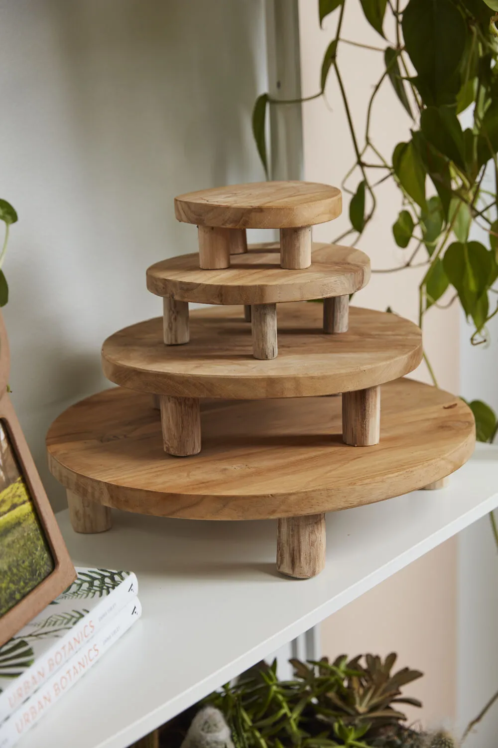 Tejano Stand- Medium